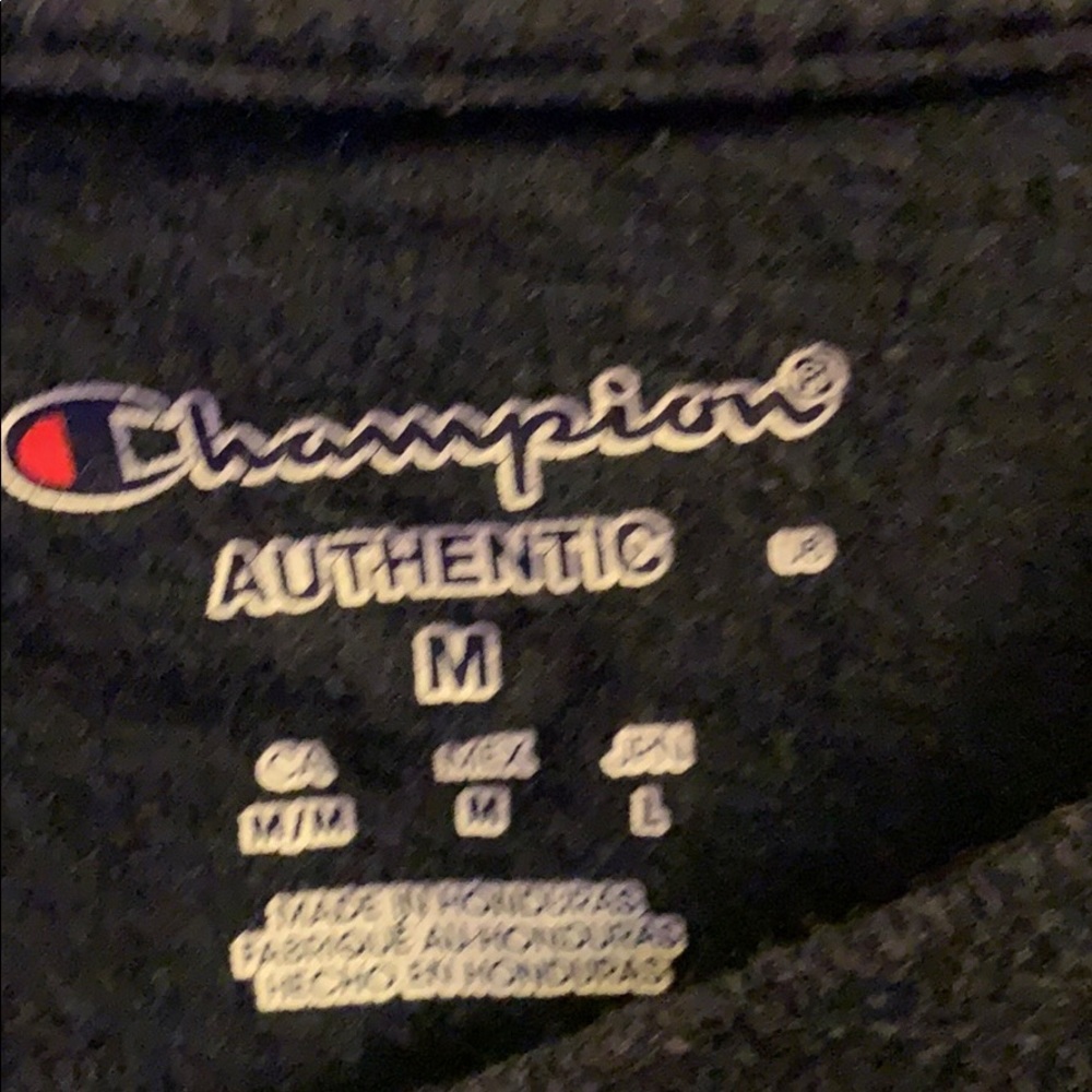 Champion - Picture 2 of 2